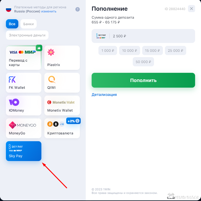 Выбрать способ оплаты в Sky Pay